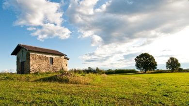 Photo of Viandanti del lunedì: otto cammini tra chiese e aziende agricole nei parchi ATE Insubria-Olona