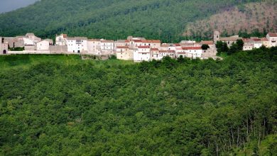 Photo of Celle di San Vito senza internet: “Vogliamo gli stessi diritti degli altri”