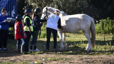 Photo of Porto Torres, Pony endurance: giovanissimi per la 1^ tappa del Campionato Regionale