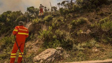 Photo of Cagliari, Forestas, la verità dello SNAF sui trent’anni di precariato
