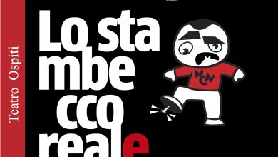Photo of Vico, Straordinaria partecipazione di pubblico per le 9 compagnie che si sono succedute sul palco