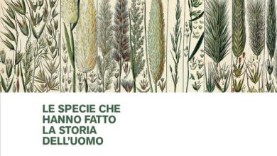 Photo of Abbazia di Rosazzo, Raffaele Testolin presenta “Piante e popoli: le specie che hanno fatto la storia dell’uomo”