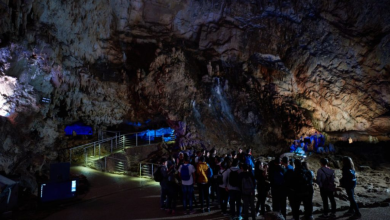 Photo of Pertosa, boom di visitatori alle grotte di Pertosa Auletta