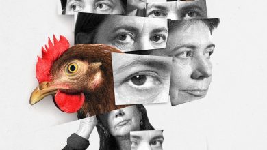 Photo of L’occhio della gallina, autoritratto di Antonietta De Lillo in cinquina ai David di Donatello 2025 e al Bellaria Film Festival