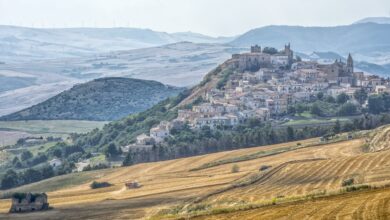 Photo of Rocchetta Sant’Antonio: 100 artisti in 100 giorni