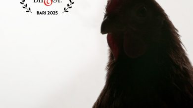 Photo of Firenze, proiezioni di due film della regista Antonietta De Lillo