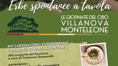 Photo of Villanova Monteleone alla scoperta delle “Erbe spontanee a tavola”