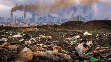 Photo of Attualità, l’allarme degli esperti: solo lo 0,64% delle aziende italiane possiede una copertura completa per i danni all’ambiente
