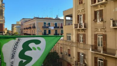 Photo of Foggia, agricoltura, trasporto e strade rurali: CIA Capitanata chiede un incontro al Comune