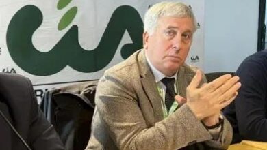 Photo of Bitonto, fotovoltaico: Sicolo sul consiglio monotematico “Continueremo a lottare”