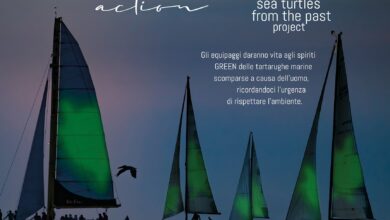 Photo of Cagliari spiega le vele per l’ambiente: sabato 7 giugno torna la Green Sail Action, tra arte, mare e consapevolezza