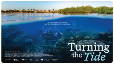 Photo of Isola di Aruba: “Turning The Tide” verso le Nazioni Unite: il documentario alla conferenza sugli Oceani