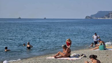 Photo of Adriatico, invasione dell’alga bruna non autoctona stypopodium schimperi