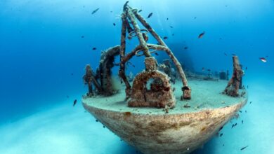 Photo of MyShot 2025: la fotografia subacquea che racconta il mare e il suo destino