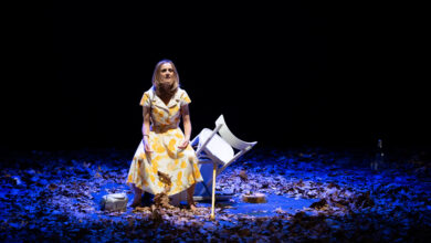 Photo of Ossi, Festival Aria