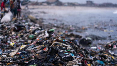 Photo of Plastica ed inquinamento: nuovo rapporto di Greenpeace