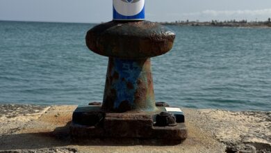 Photo of Carloforte, arriva Cuore Mediterraneo
