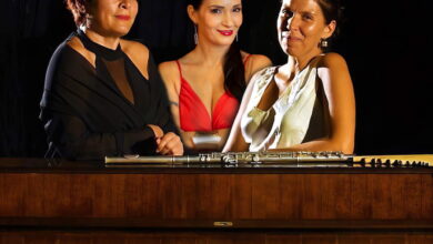 Photo of Sassari, World Music Festival dal 25 luglio