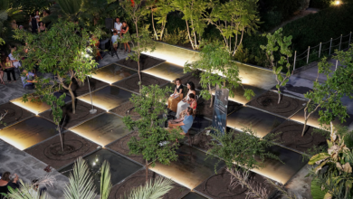Photo of Giarre, “Garden in movies”: dall’ 1 al 3 agosto