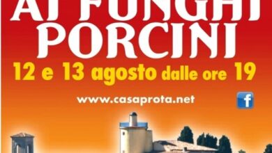 Photo of Casaprota: dove il porcino è sacro, la forchetta comanda e Iva Zanicchi canta