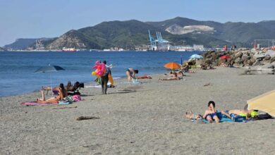 Photo of Creta, avvistato per la prima volta un pesce dell’Oceano Indiano