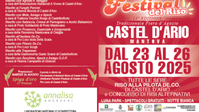 Photo of Castel d’Ario: fiera d’agosto