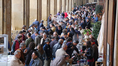 Photo of Arezzo, torna Foto antiquaria