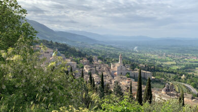 Photo of Assisi, “Festival delle Creature” 2025