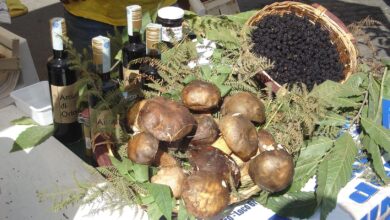 Photo of Oriolo Romano: sagra del porcino: 12, 13, 14 – 19, 20, 21 – 26, 27, 28 settembre