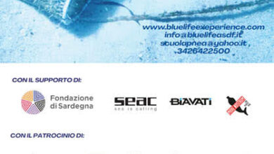 Photo of Cagliari, presentato il progetto Fishing for the Planet