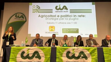 Photo of Bari, Confronto Decaro-Cia Puglia, ecco le 10 priorità per il rilancio dell’agricoltura pugliese