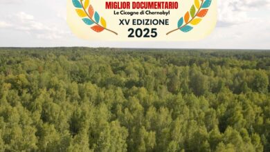 Photo of “Le Cicogne di Chernobyl” vince il Festival Internazionale del Cinema Dino De Laurentiis