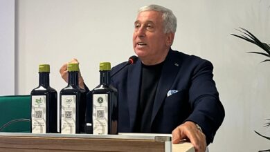 Photo of Piramide alimentare della Società Italiana di Nutrizione Umana: alla base spicca l’olio extravergine di oliva
