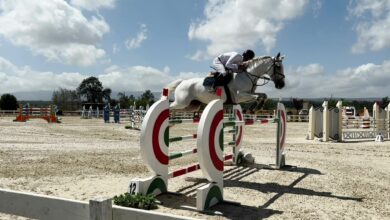 Photo of Tanca Regia: Campionato del cavallo sardo con 210 binomi iscritti