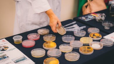 Photo of Cagliari, diciottesimo Festival Scienza