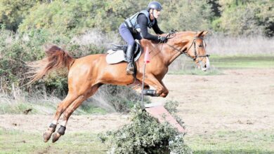 Photo of Tanca Regia, equitazione: Luigi Iriu vince il titolo regionale di Completo