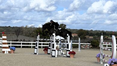Photo of Tanca Regia, salto ostacoli: Lorenzo Correddu vince il Campionato del cavallo sardo