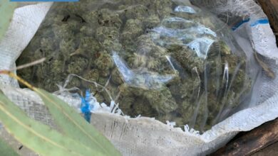 Photo of Ollastra, Oristano e Terralba: spaccio e detenzione, arresti e perquisizioni