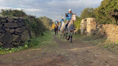 Photo of Tanca Regia, Endurance: Raffaela Masia vince la Finale Circuito Asvi Giovani Cavalli