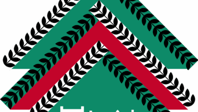 Photo of A Natale, regala a 12 studenti palestinesi l’opportunità di studiare cinema