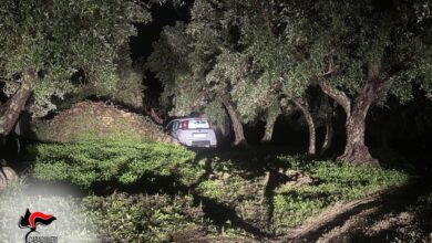Photo of Petilia Policastro, tentato omicidio: i Carabinieri fermano un uomo