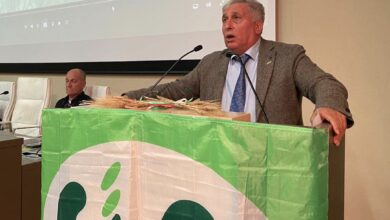 Photo of Grano duro, finalmente la CUN. Sicolo: “Una lotta della CIA, ora prezzi equi”