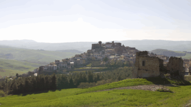 Photo of Foggia, l’annuncio dei finalisti del Premio Maria Teresa Di Lascia
