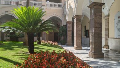 Photo of Sassari, l’Università pubblica i bandi per le Scuole di specializzazione di area sanitaria e veterinaria