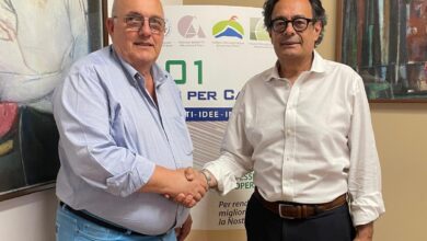 Photo of Catania, ciclone Harry, la risposta degli Ordini: competenze tecniche a disposizione della città