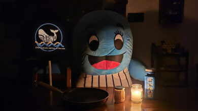 Photo of Castel Guelfo Bolognese: “Stop Food Oils and Fats in the Sea” aderisce a M’illumino di meno