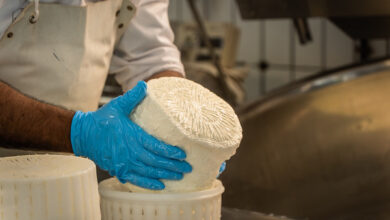 Photo of Calascio, pascoli e pastori: riparte la scuola di Slow Food Italia e D.R.E.Am Italia