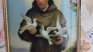 Photo of Giubileo di San Francesco