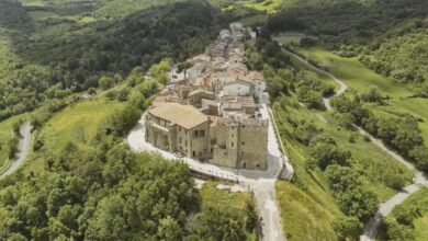Photo of Celle di San Vito senza medico di base, la sindaca: “Asl Foggia calpesta il diritto alla salute”