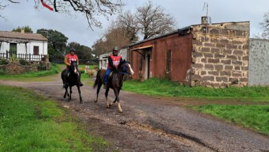 Photo of Abbasanta, a Tanca Regia vince Maria Giovanna Mulas sull’anglo arabo Erula Lady
